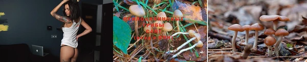 Альфа ПВП Вязники