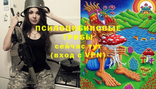 Альфа ПВП Вязники
