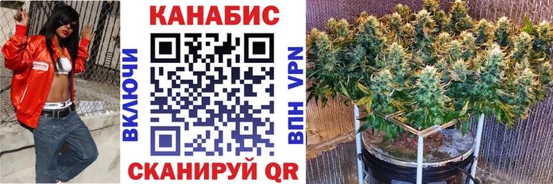Купить  Острогожск  Каннабис Amnesia 